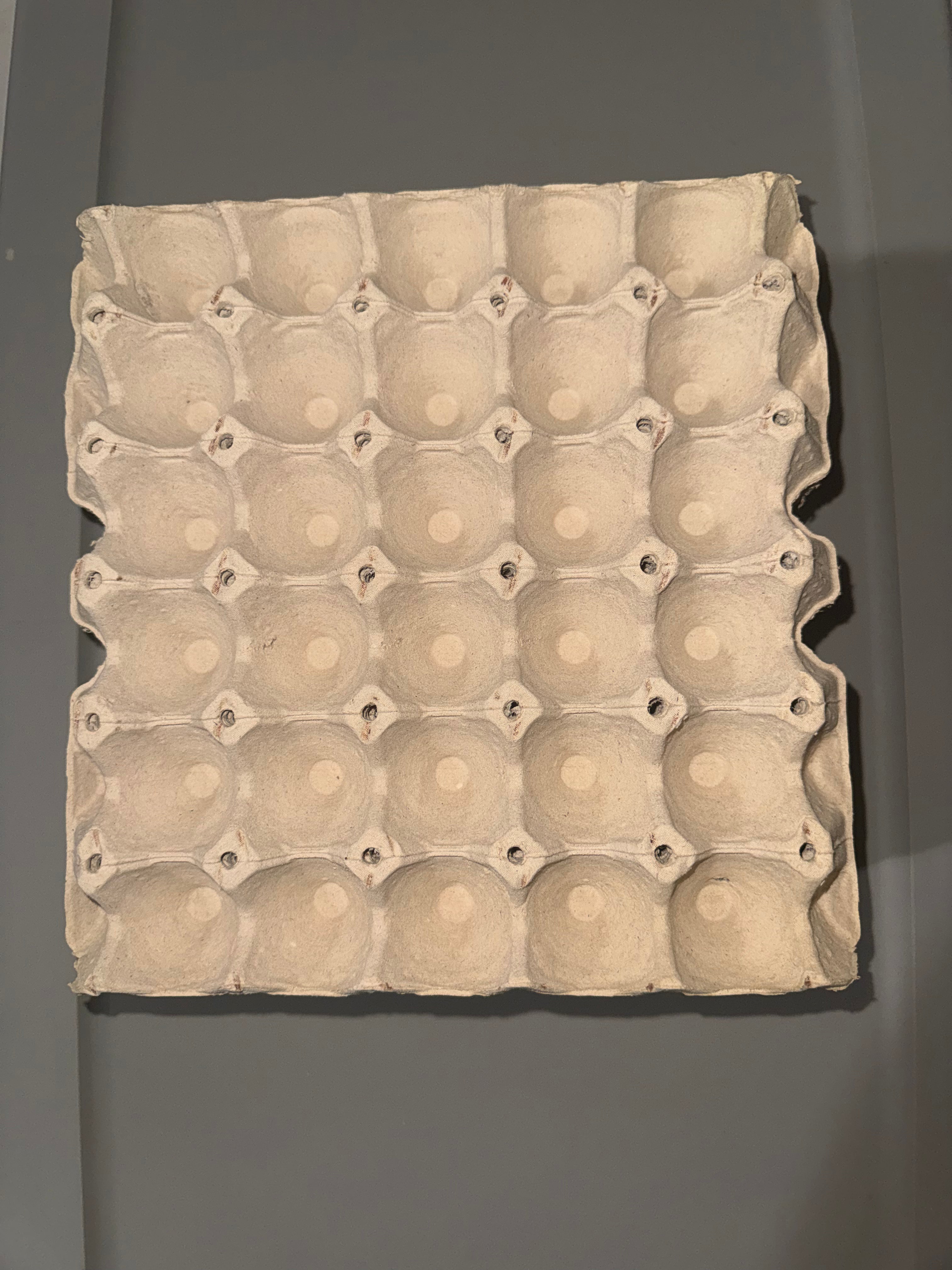 Egg Filler Flats