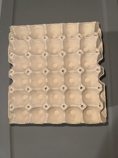 Egg Filler Flats